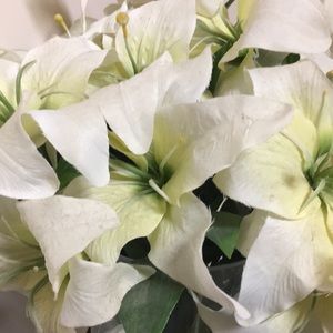 Meet your Posher, Kimberlee